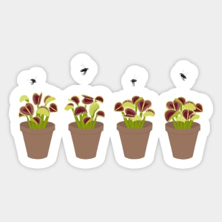 Venus Flytraps Sticker